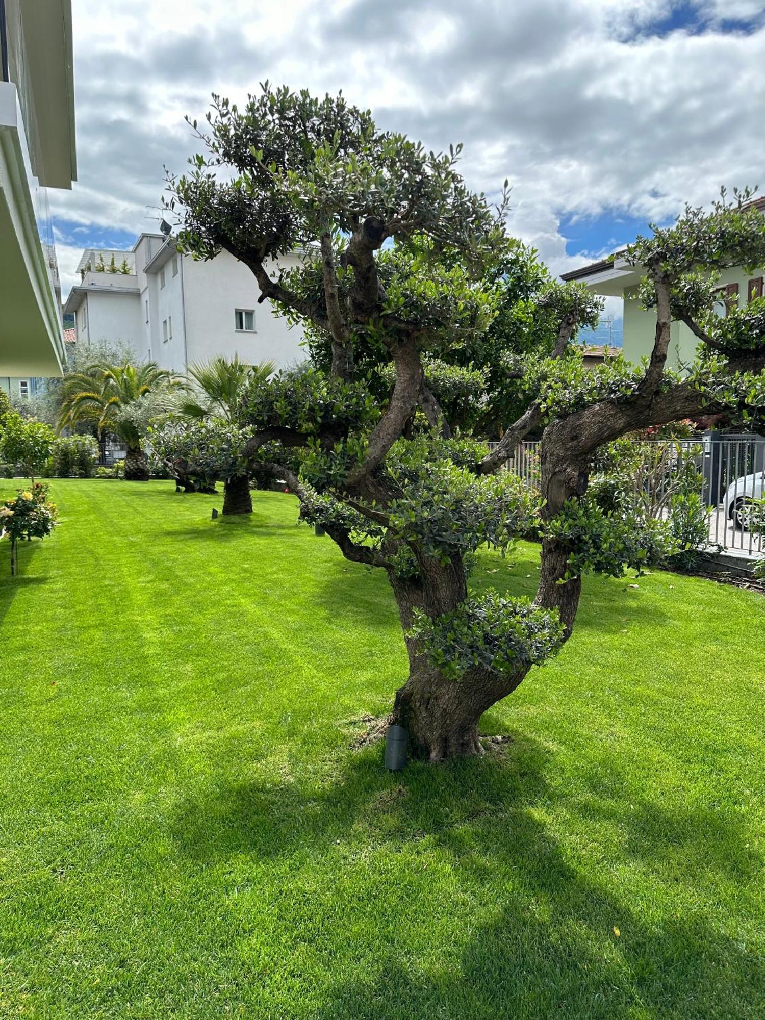 Residence Villa Dalila - Appartamento Dalila Riva del Garda Buitenkant foto